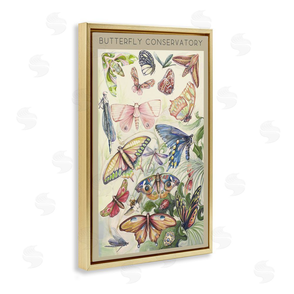 Sundance Graphics Butterfly Conservatory Insects Gold Floating Frame Canvas Wall Art Print