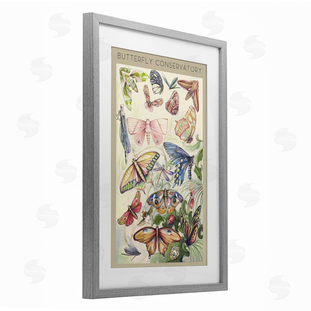 Sundance Graphics Butterfly Conservatory Insects Gray Framed Print Under Glass Wall Art