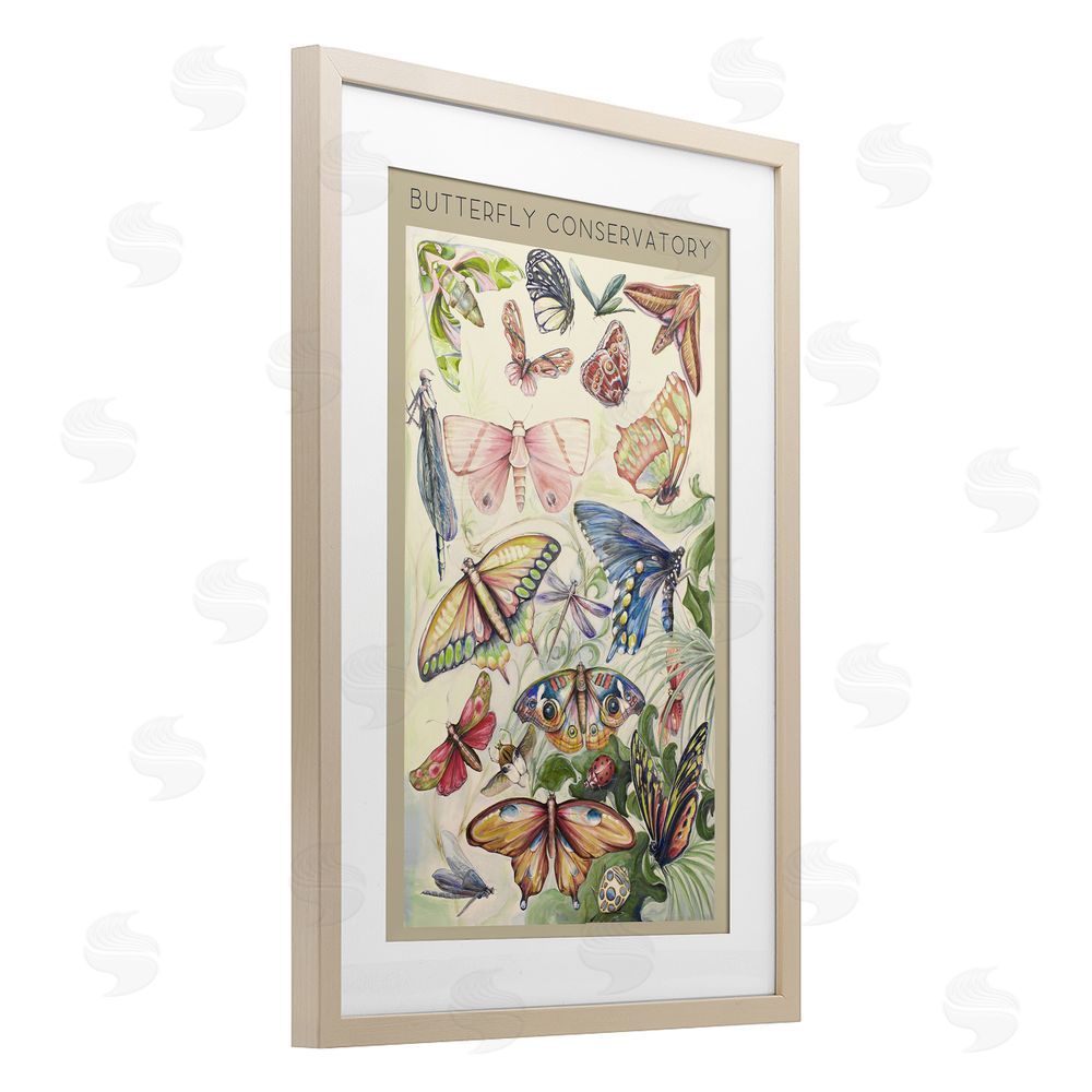 Sundance Graphics Butterfly Conservatory Insects Birch Framed Print Under Glass Wall Art