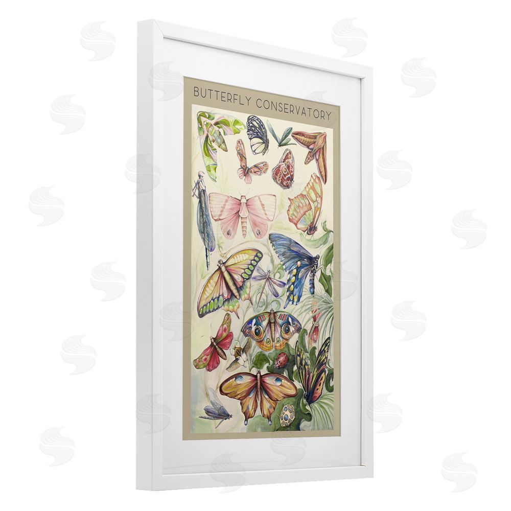 Sundance Graphics Butterfly Conservatory Insects White Framed Print Under Glass Wall Art