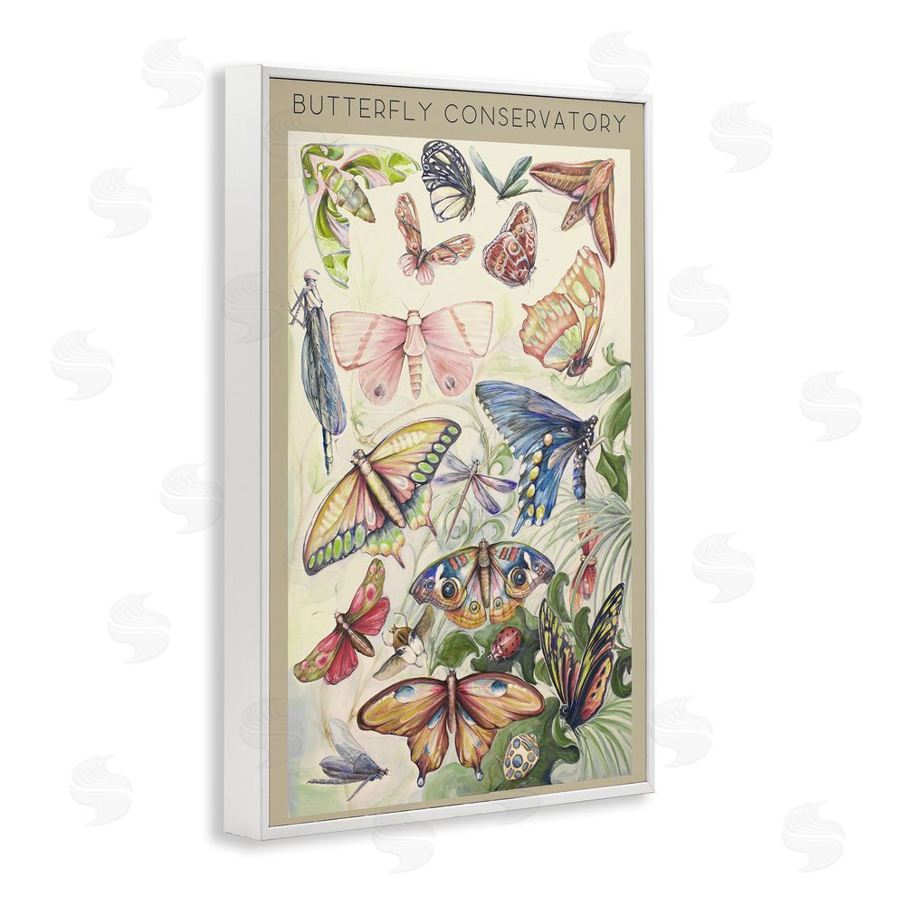 Sundance Graphics Butterfly Conservatory Insects White Framed Giclee Wall Art Print
