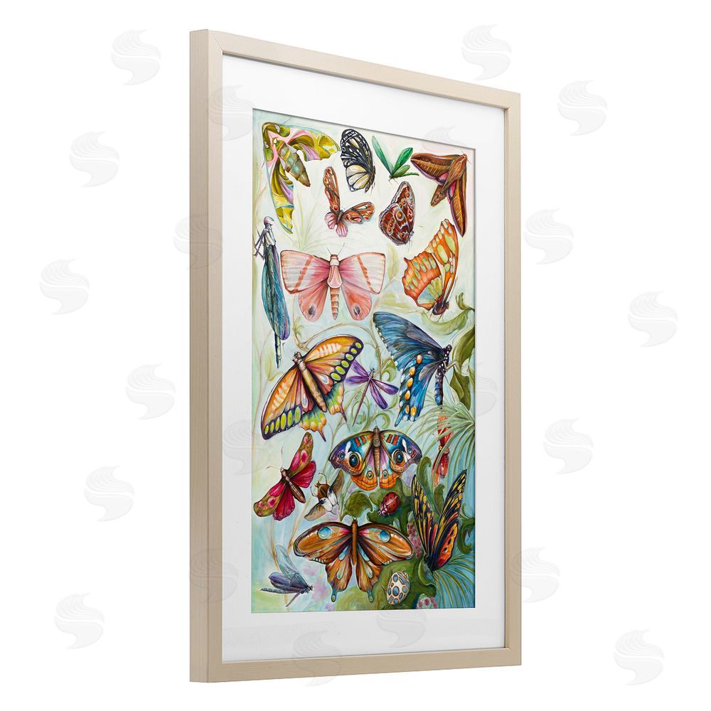 Sundance Graphics Colorful Butterfly Conservatory Birch Framed Print Under Glass Wall Art