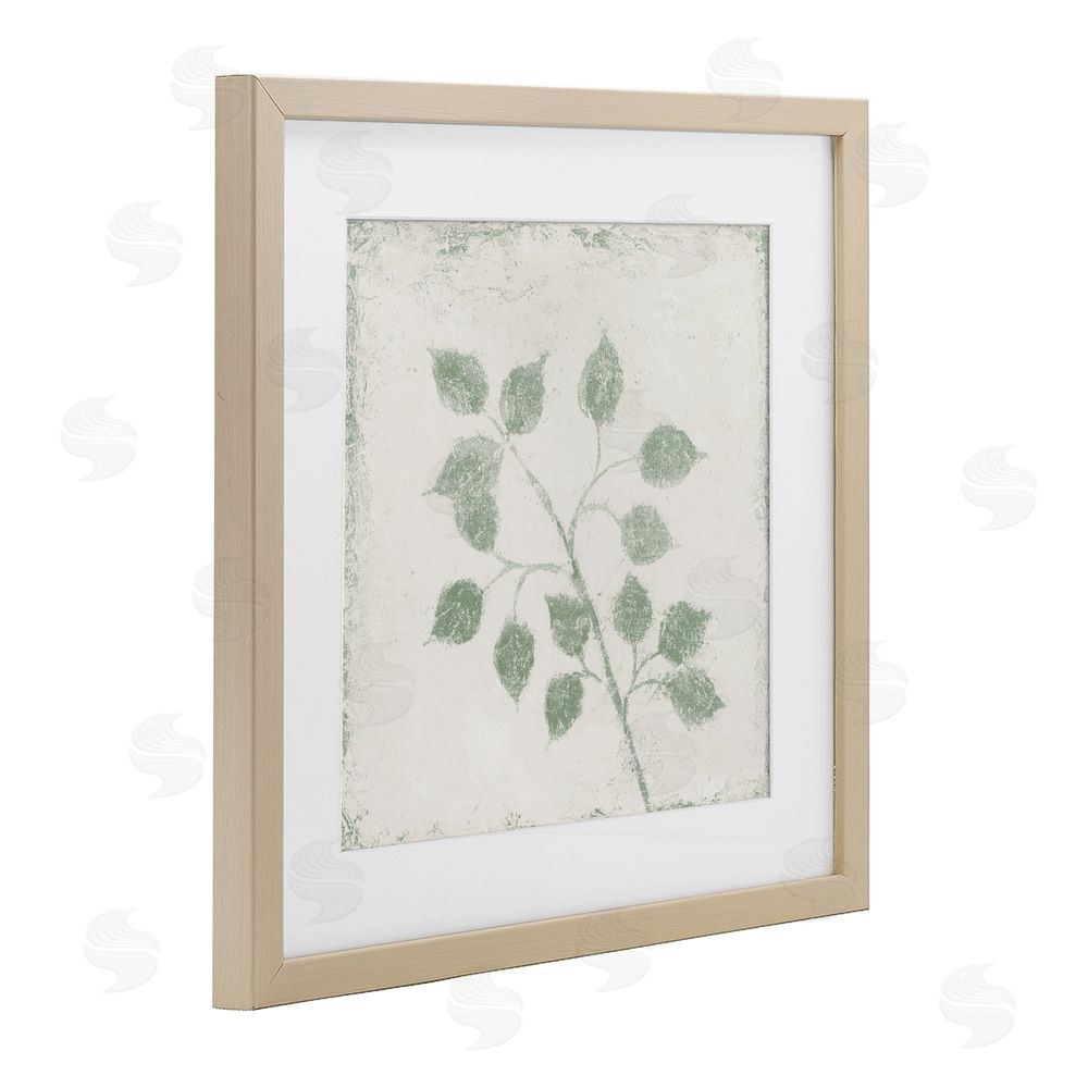 Michael Marcon November Leaves Plant Sprig Birch Framed Print Under Glass Wall Art