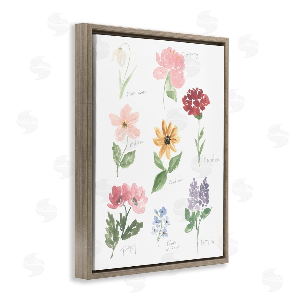 Sundance Graphics Labeled Flower Varieties Brown Floating Frame Canvas Wall Art Print