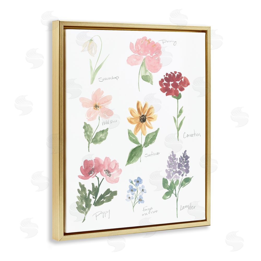 Sundance Graphics Labeled Flower Varieties Gold Floating Frame Canvas Wall Art Print