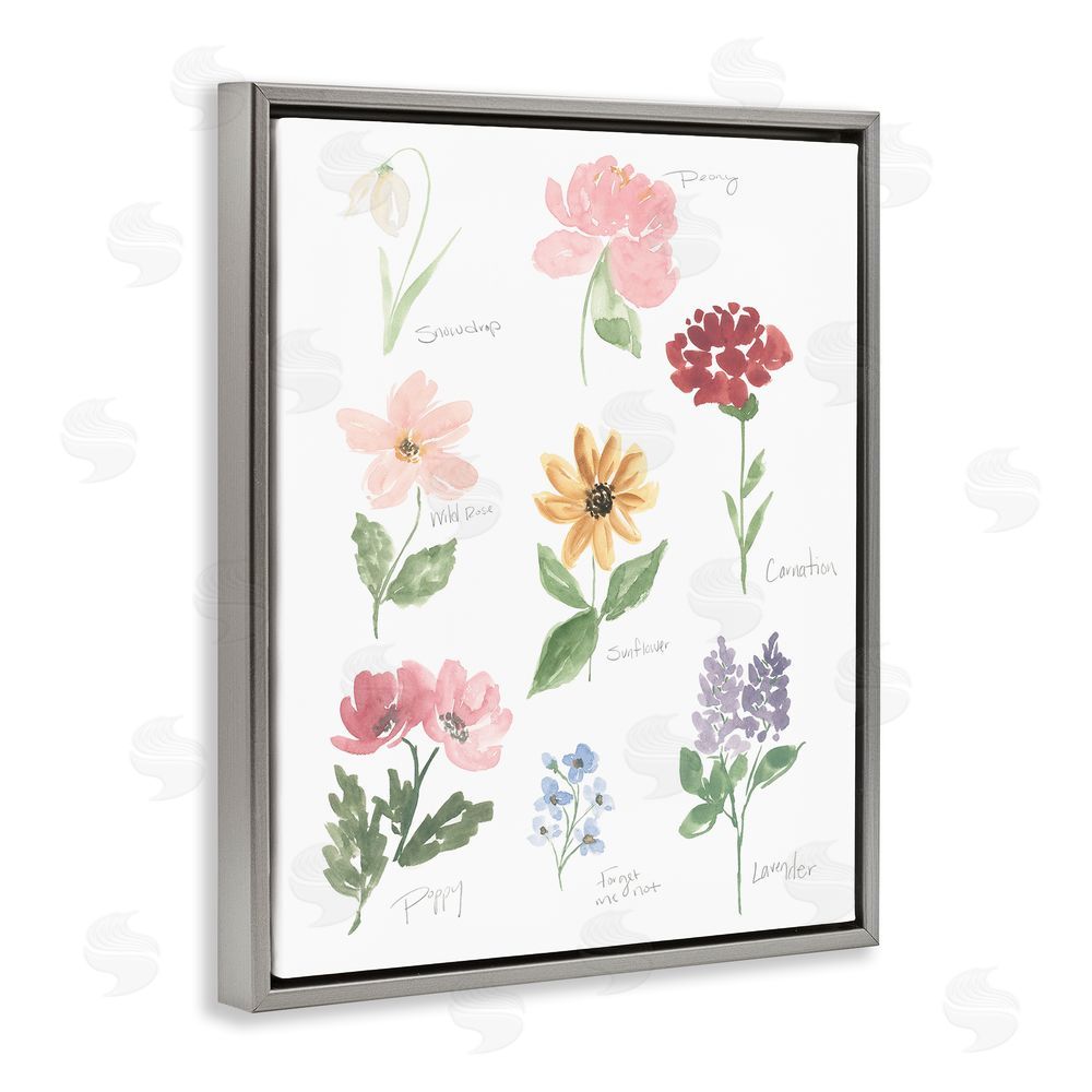 Sundance Graphics Labeled Flower Varieties Gray Floating Frame Canvas Wall Art Print