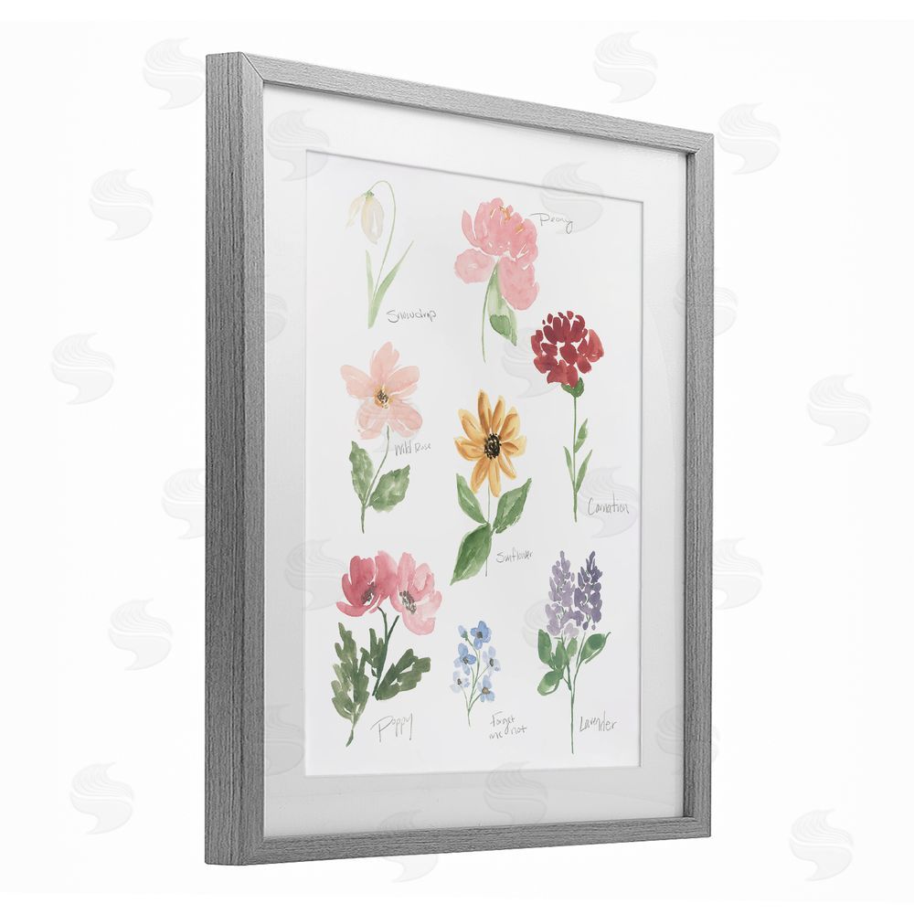 Sundance Graphics Labeled Flower Varieties Gray Framed Print Under Glass Wall Art