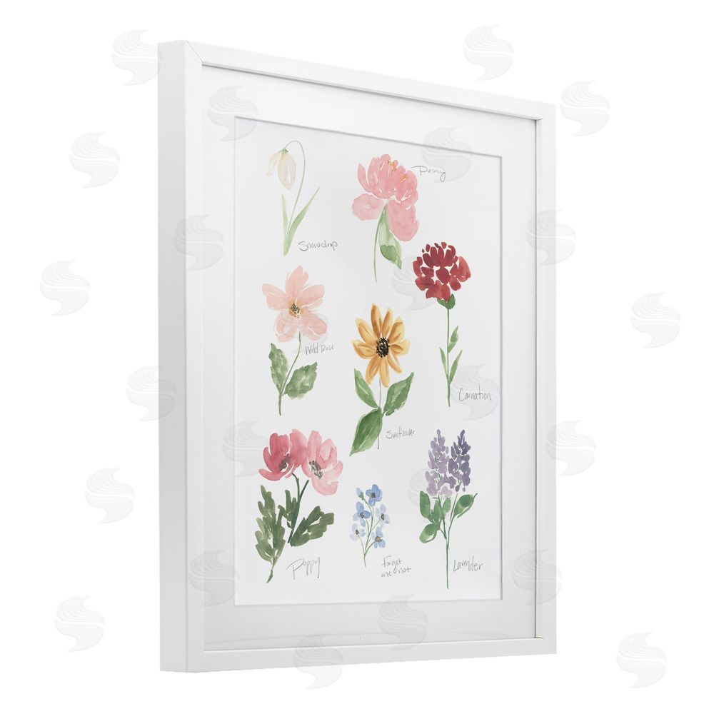 Sundance Graphics Labeled Flower Varieties White Framed Print Under Glass Wall Art