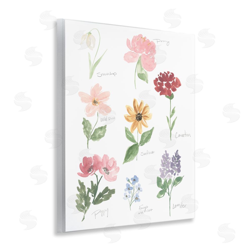 Sundance Graphics Labeled Flower Varieties Wall Plaque Printed Art