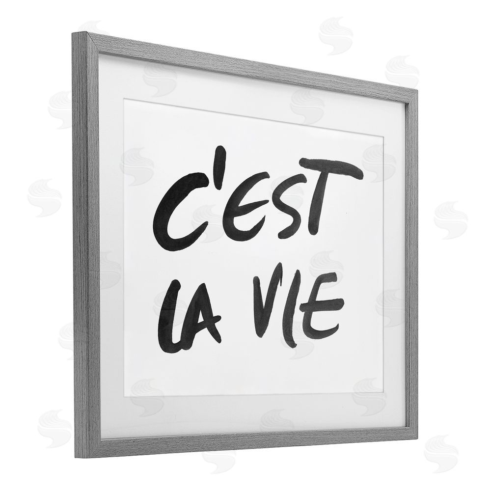 Sundance Graphics C'est La Vie Minimal Text Gray Framed Print Under Glass Wall Art