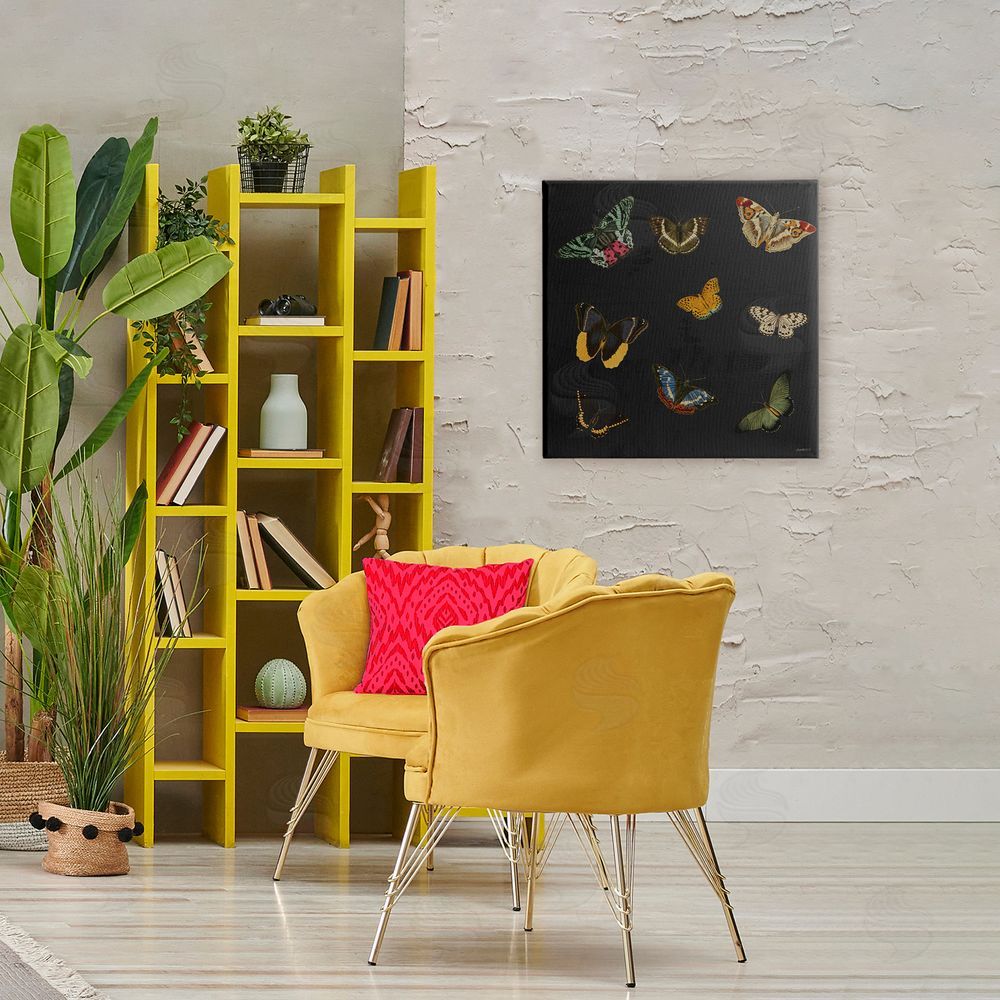Sundance Graphics Butterfly & Moth Collection Canvas Wall Art Print in Room