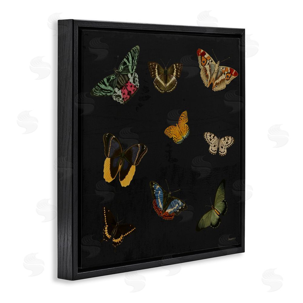 Sundance Graphics Butterfly & Moth Collection Black Floating Frame Canvas Wall Art Print