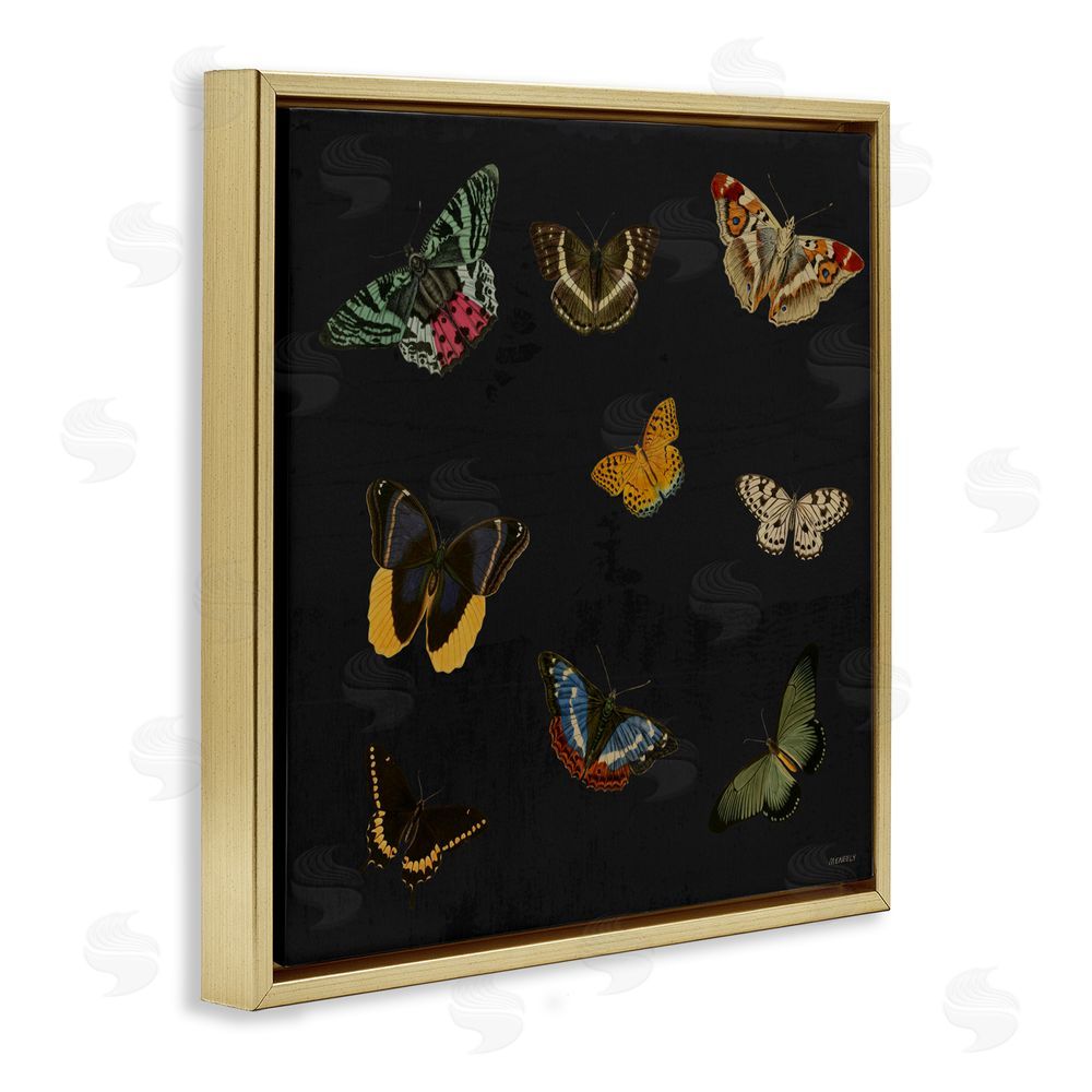 Sundance Graphics Butterfly & Moth Collection Gold Floating Frame Canvas Wall Art Print