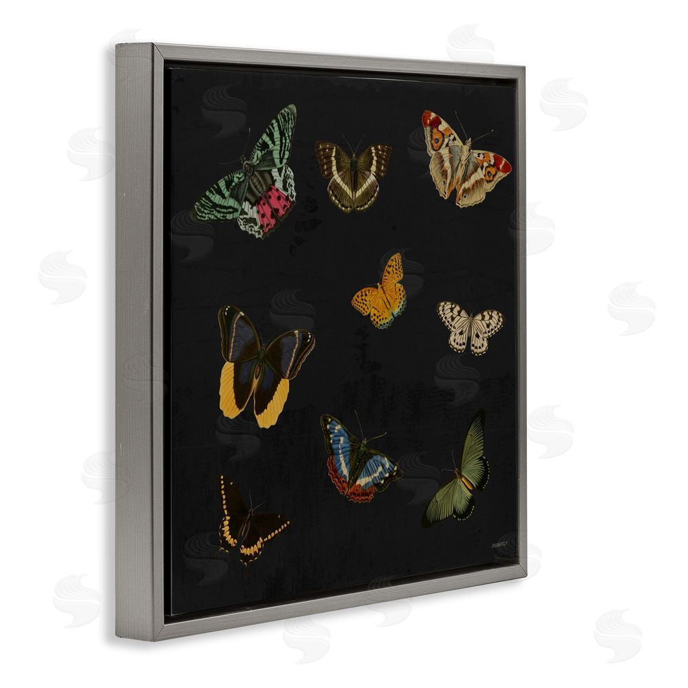 Sundance Graphics Butterfly & Moth Collection Gray Floating Frame Canvas Wall Art Print