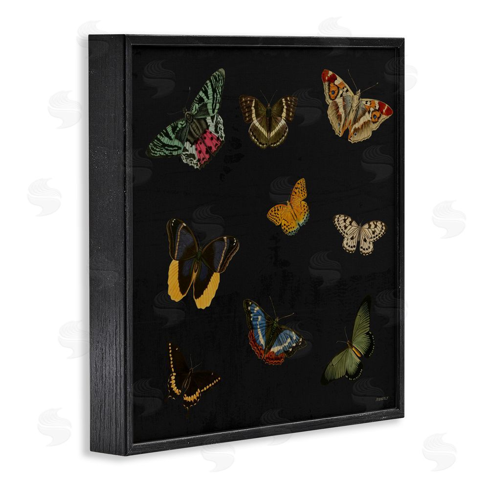 Sundance Graphics Butterfly & Moth Collection Black Framed Giclee Wall Art Print
