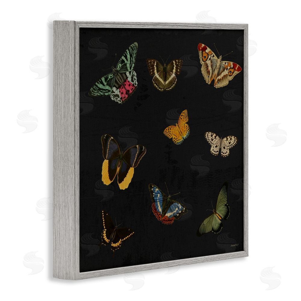 Sundance Graphics Butterfly & Moth Collection Gray Framed Giclee Wall Art Print