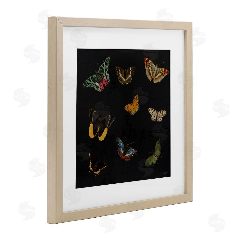 Sundance Graphics Butterfly & Moth Collection Birch Framed Print Under Glass Wall Art