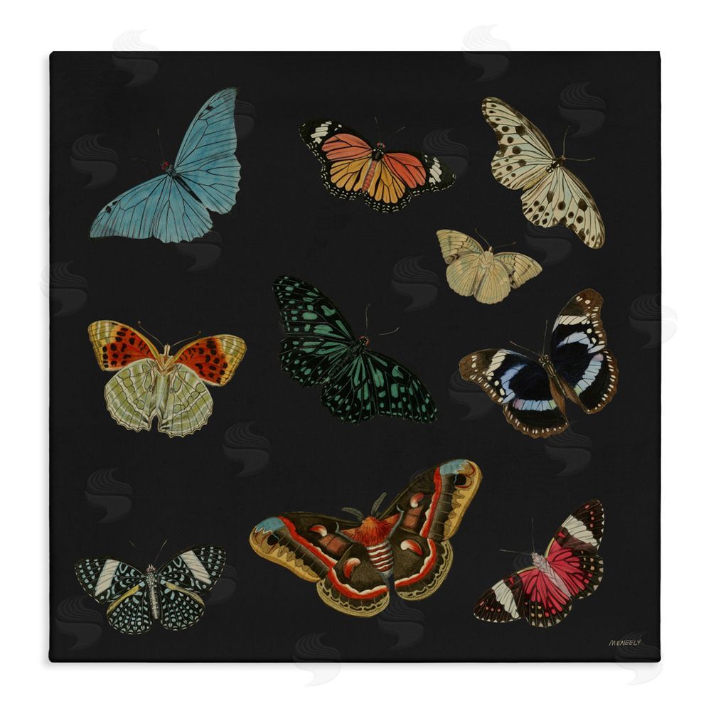 Sundance Graphics Insects Group on Black Canvas Wall Art Print