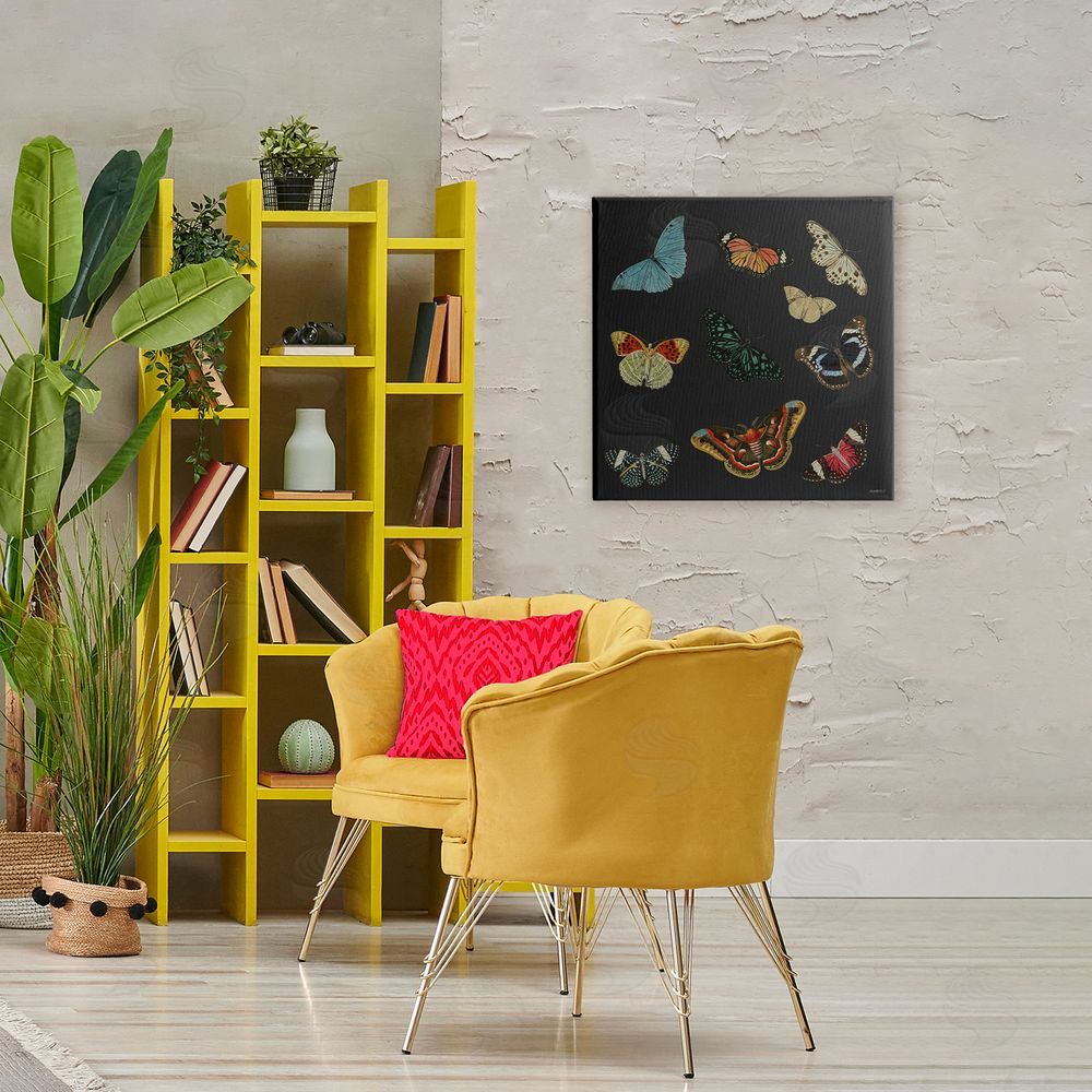 Sundance Graphics Insects Group on Black Canvas Wall Art Print in Room