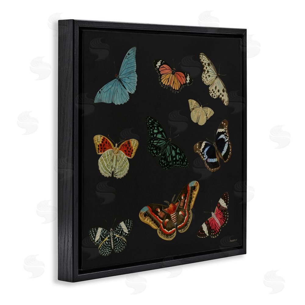 Sundance Graphics Insects Group on Black Black Floating Frame Canvas Wall Art Print