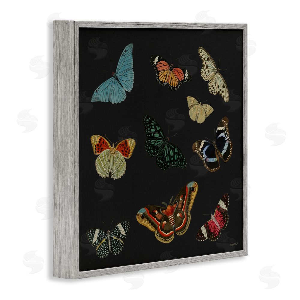 Sundance Graphics Insects Group on Black Gray Framed Giclee Wall Art Print