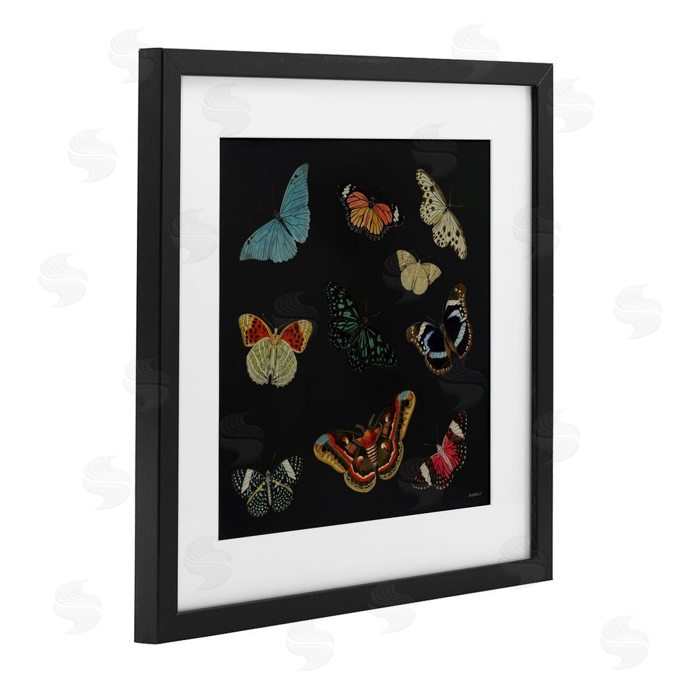 Sundance Graphics Insects Group on Black Black Framed Print Under Glass Wall Art