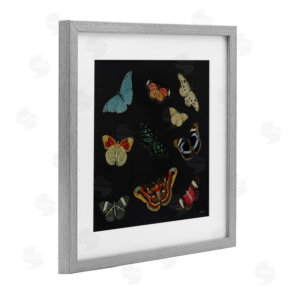 Sundance Graphics Insects Group on Black Gray Framed Print Under Glass Wall Art