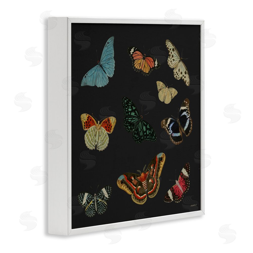 Sundance Graphics Insects Group on Black White Framed Giclee Wall Art Print