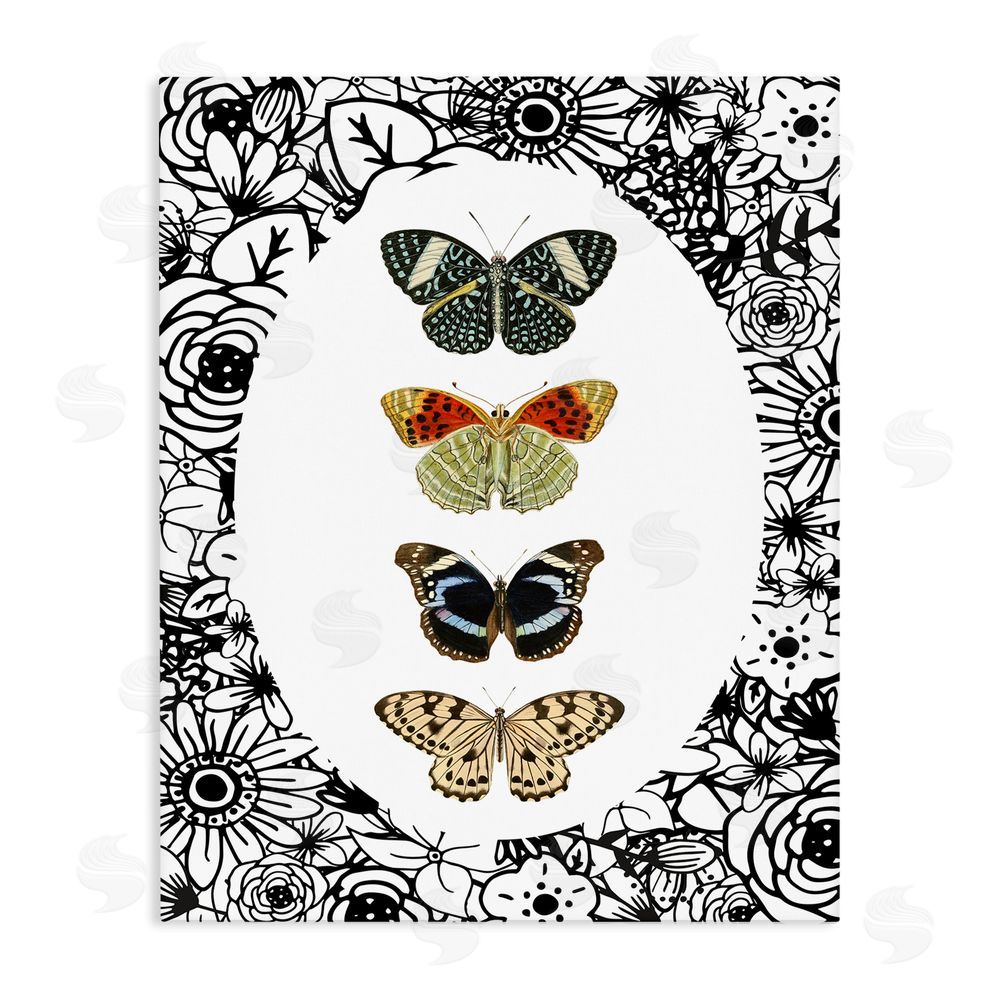 Sundance Graphics Floral Butterfly Lineup Canvas Wall Art Print