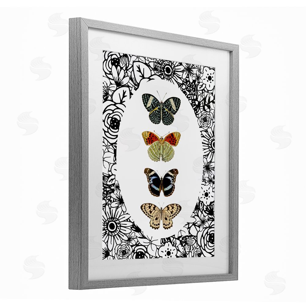 Sundance Graphics Floral Butterfly Lineup Gray Framed Print Under Glass Wall Art