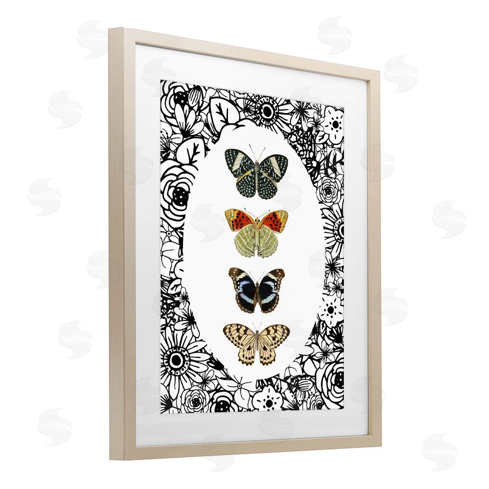 Sundance Graphics Floral Butterfly Lineup Birch Framed Print Under Glass Wall Art