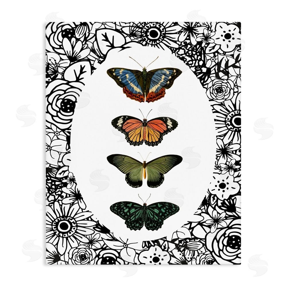 Sundance Graphics Floral Border Butterfly Lineup Canvas Wall Art Print