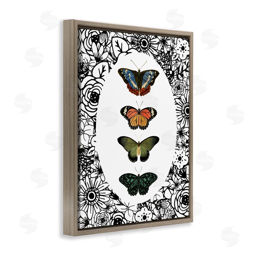 Sundance Graphics Floral Border Butterfly Lineup Brown Floating Frame Canvas Wall Art Print
