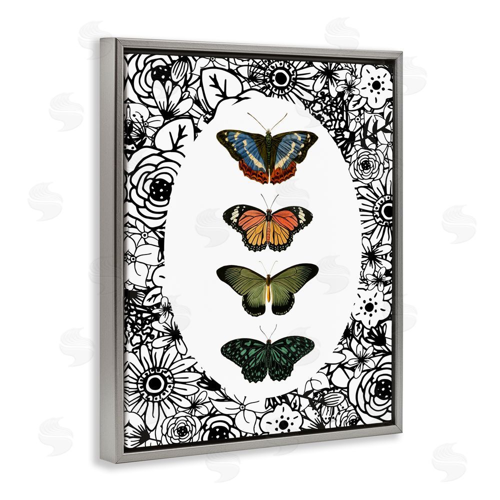 Sundance Graphics Floral Border Butterfly Lineup Gray Floating Frame Canvas Wall Art Print