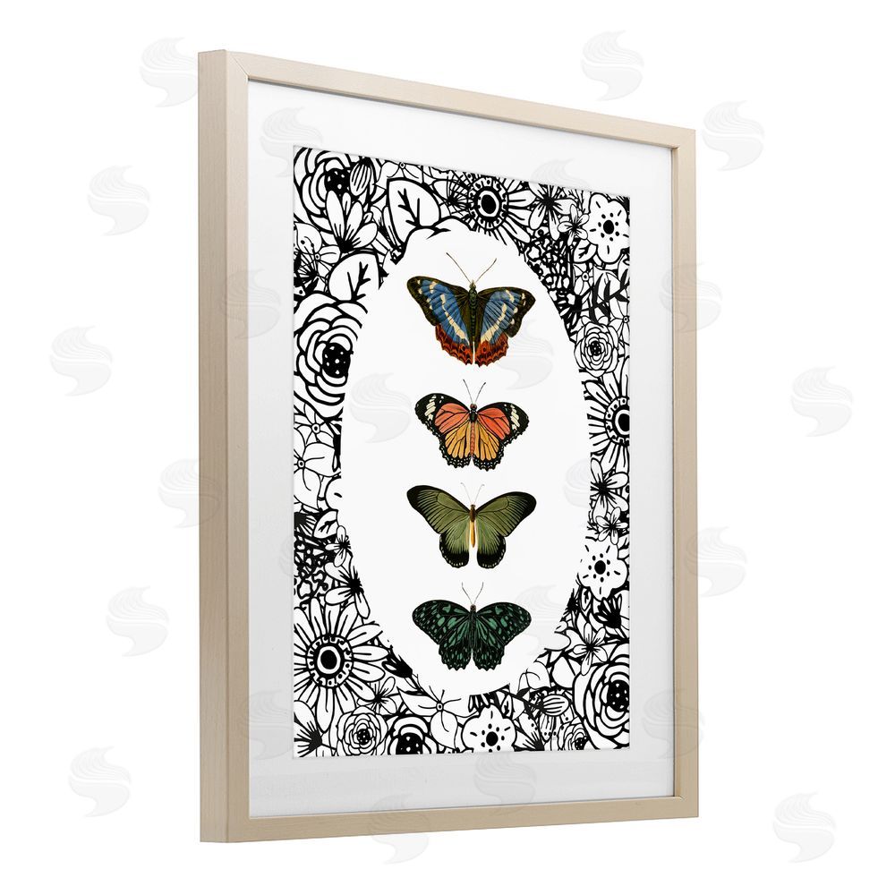 Sundance Graphics Floral Border Butterfly Lineup Birch Framed Print Under Glass Wall Art