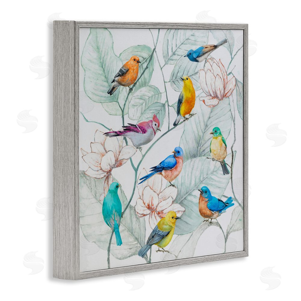 Lorenzo Collective Colorful Array Of Birds Gray Framed Giclee Wall Art Print