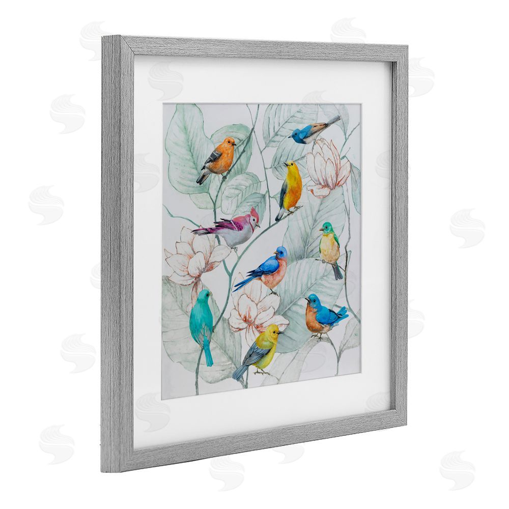 Lorenzo Collective Colorful Array Of Birds Gray Framed Print Under Glass Wall Art