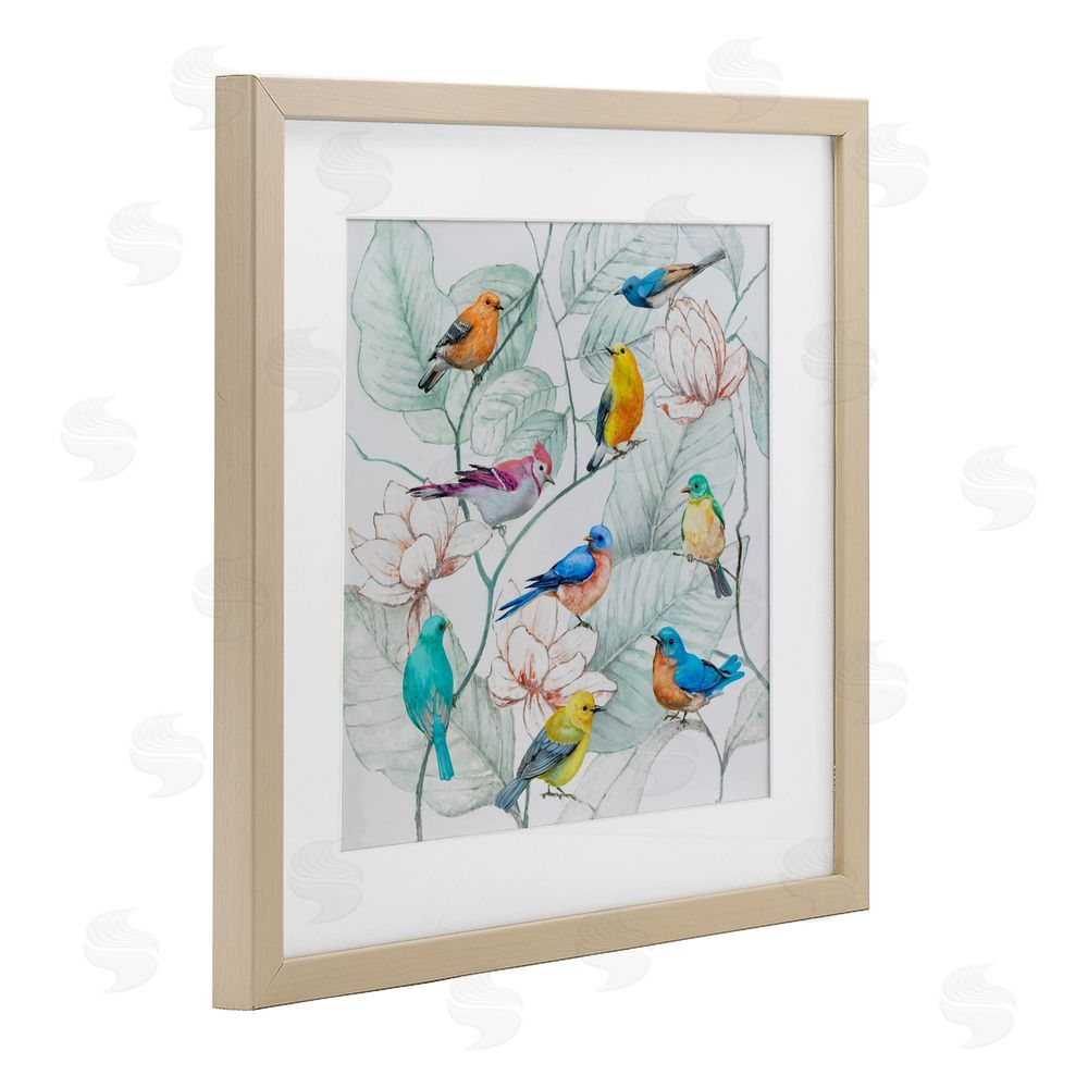 Lorenzo Collective Colorful Array Of Birds Birch Framed Print Under Glass Wall Art