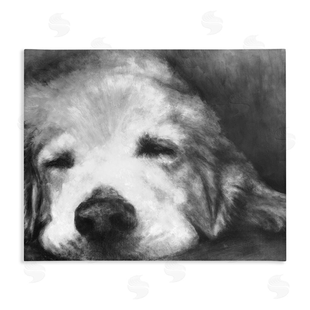 Sundance Graphics Monochrome Dog Day Afternoon Canvas Wall Art Print