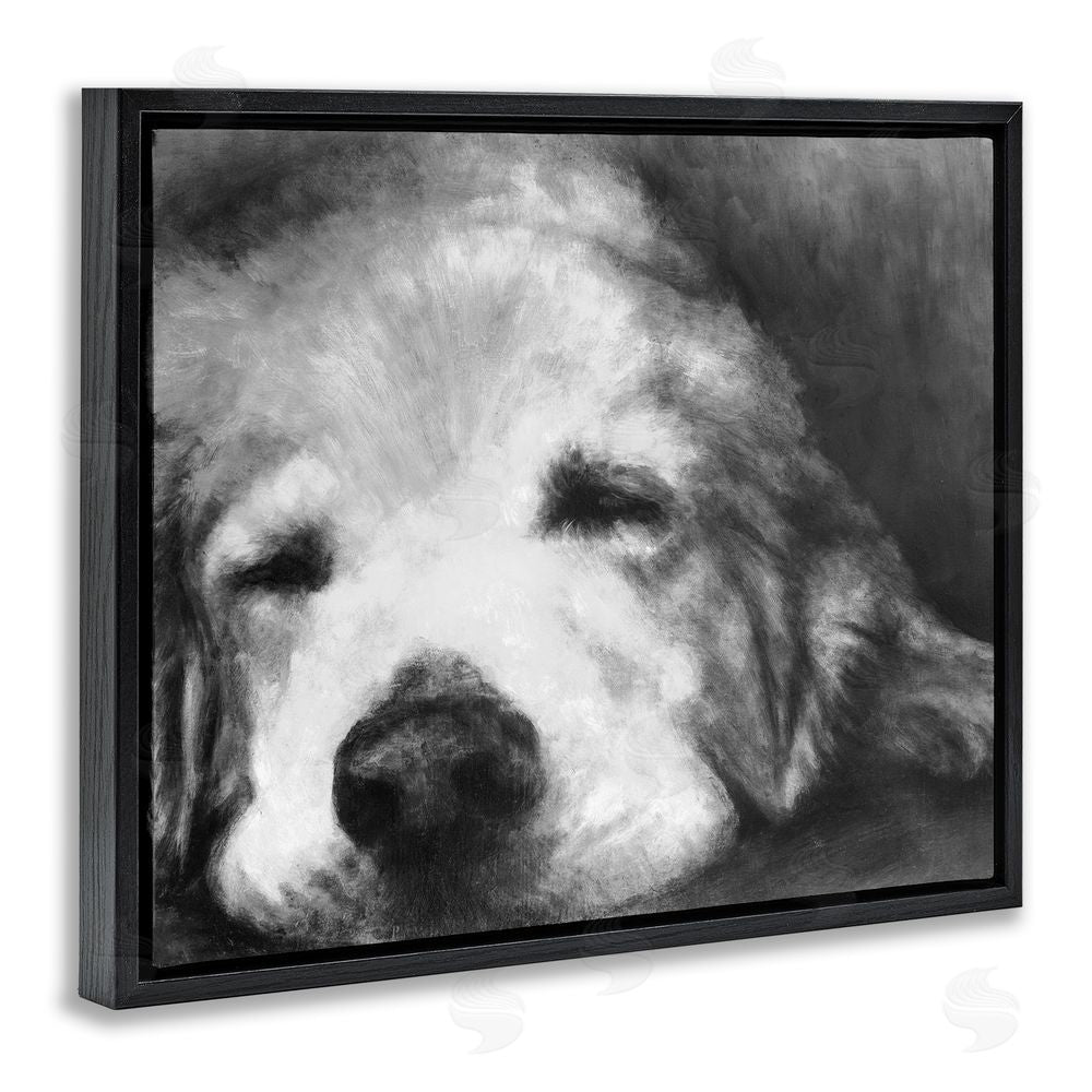 Sundance Graphics Monochrome Dog Day Afternoon Black Floating Frame Canvas Wall Art Print
