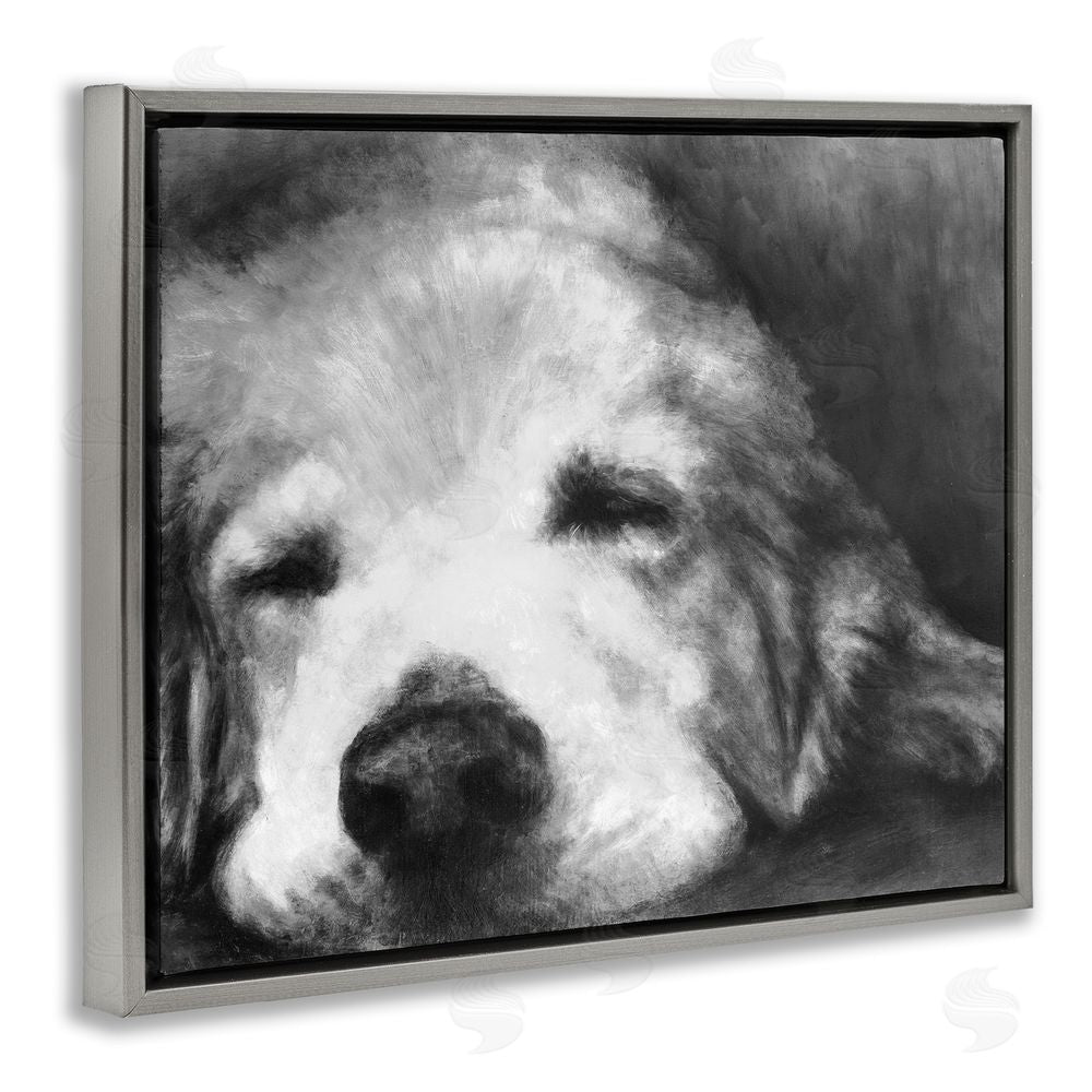Sundance Graphics Monochrome Dog Day Afternoon Gray Floating Frame Canvas Wall Art Print