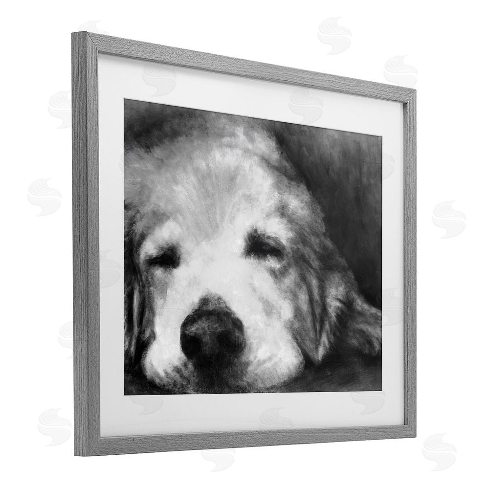 Sundance Graphics Monochrome Dog Day Afternoon Gray Framed Print Under Glass Wall Art