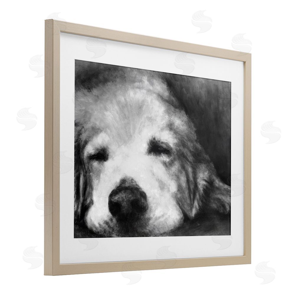 Sundance Graphics Monochrome Dog Day Afternoon Birch Framed Print Under Glass Wall Art