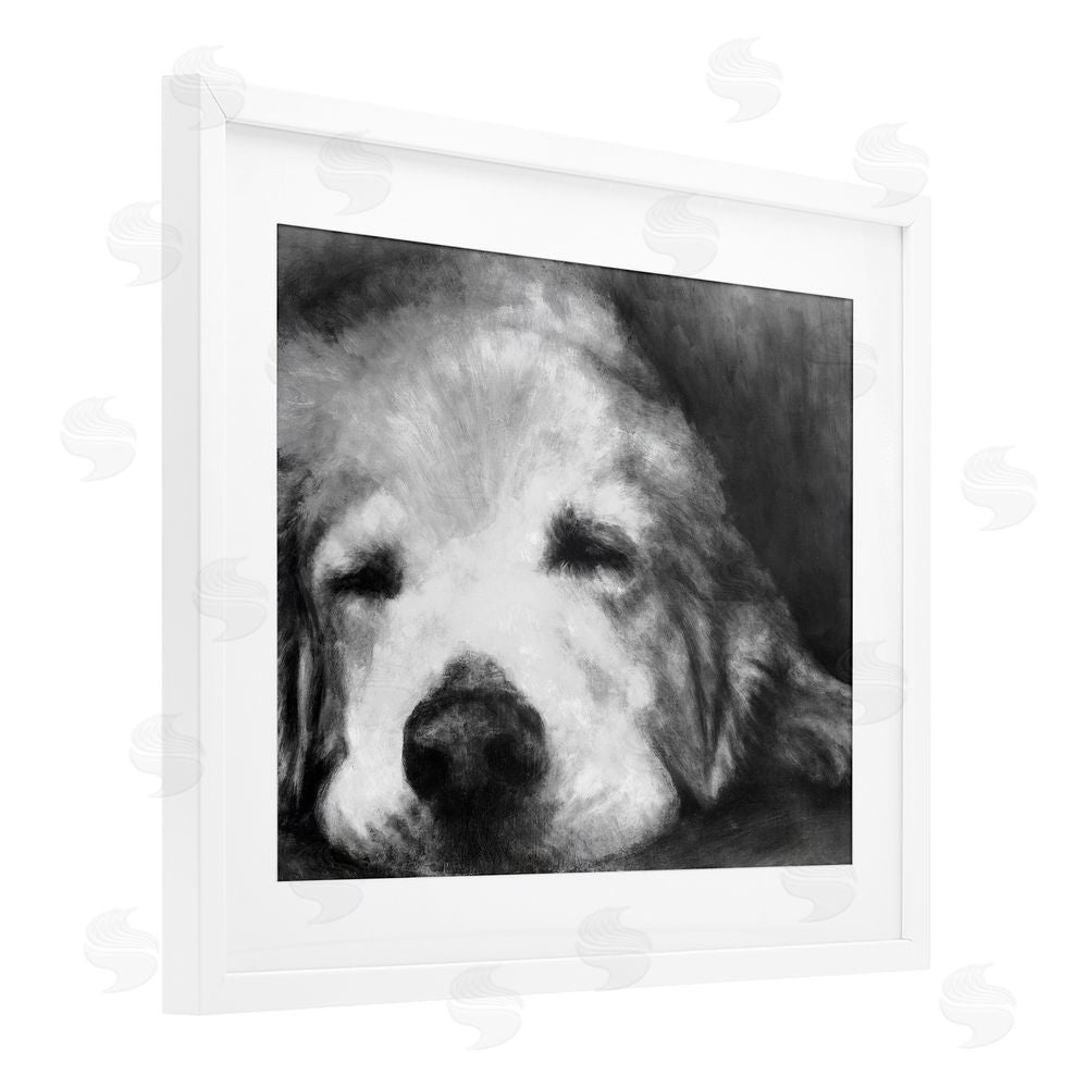 Sundance Graphics Monochrome Dog Day Afternoon White Framed Print Under Glass Wall Art