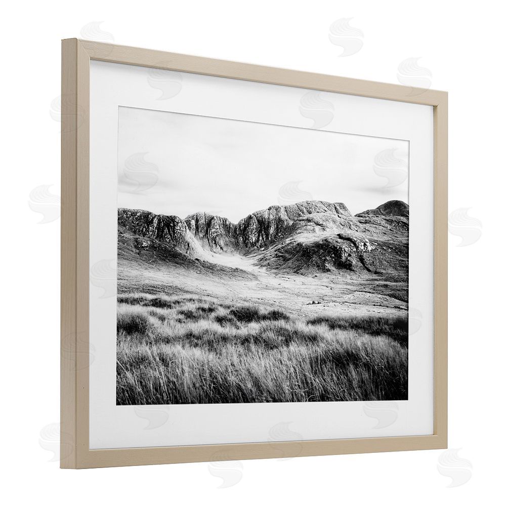 Sundance Graphics Magnificent Countryside View Birch Framed Print Under Glass Wall Art