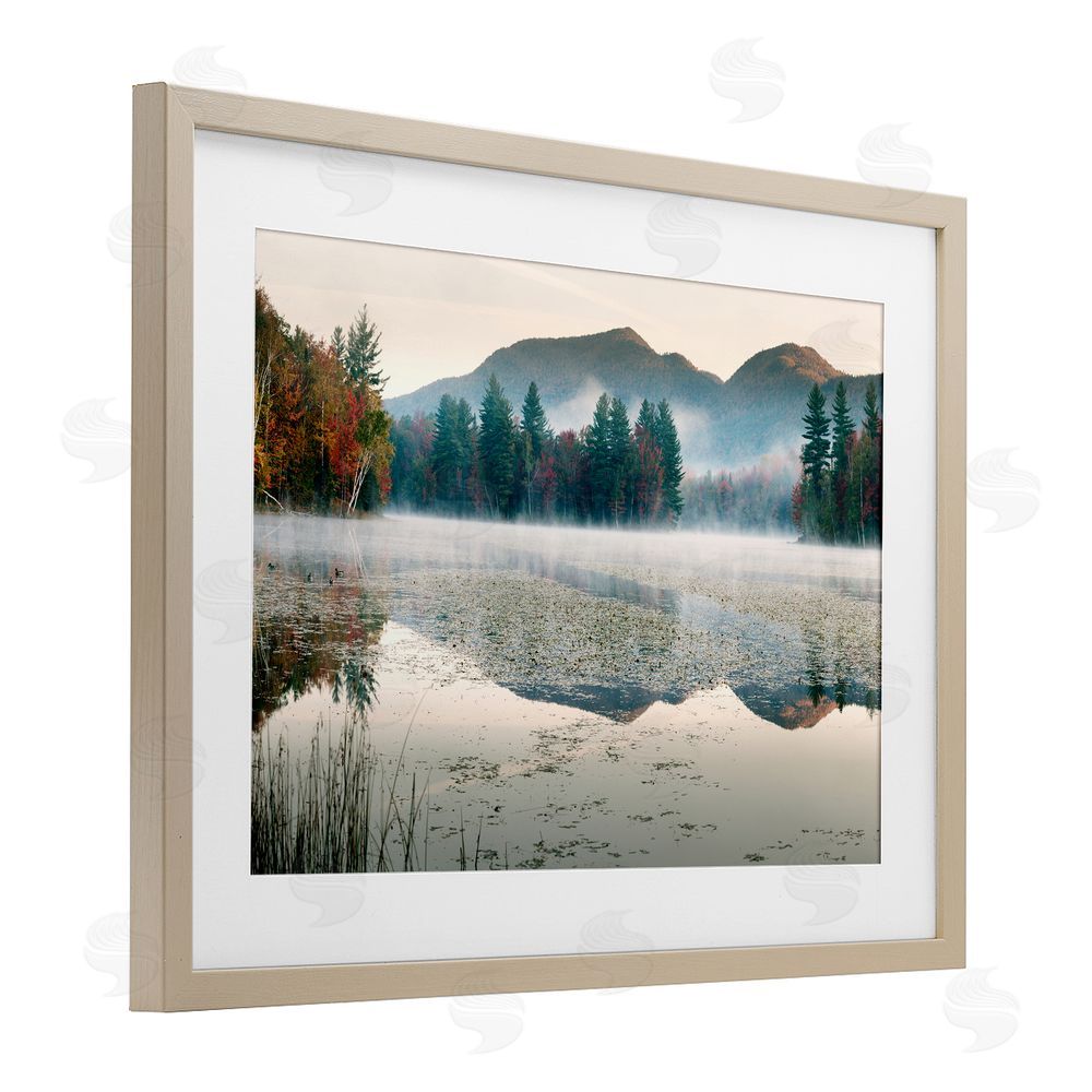 Shelley Lake Fall Foliage Circling Lake Birch Framed Print Under Glass with White Mat Wall Art