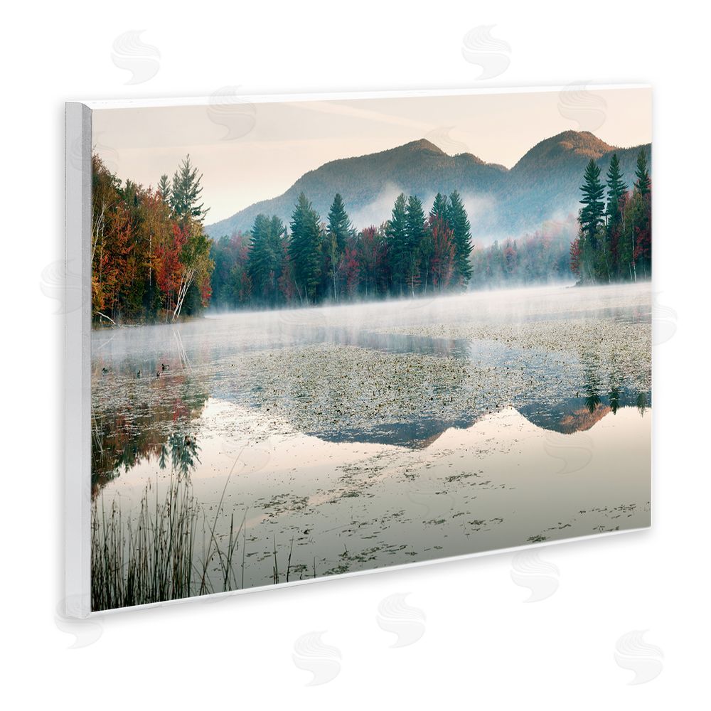 Shelley Lake Fall Foliage Circling Lake Wall Plaque Art Print