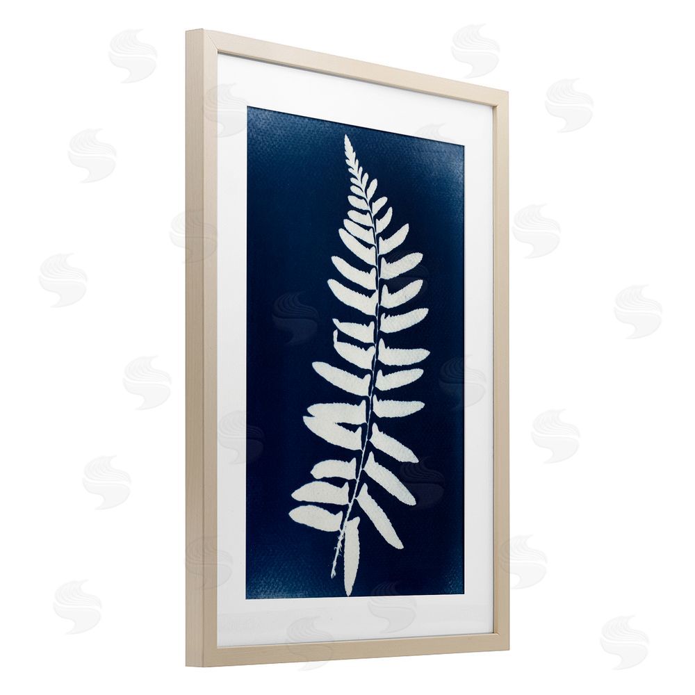 Lynn Byrd Fern Leaf on Indigo Brown Framed Print Under Glass with Mat Wall Art