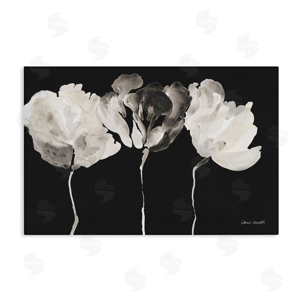 Lanie Loreth Trio In Light On Black Stretched Canvas Wall Art Print
