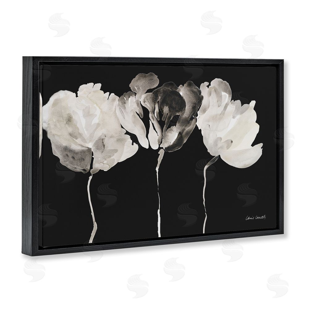 Lanie Loreth Trio In Light On Black Black Floating Frame Canvas Wall Art Print